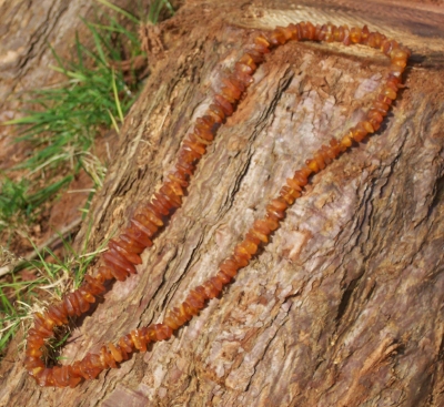 Amber Only Necklace ANECK03